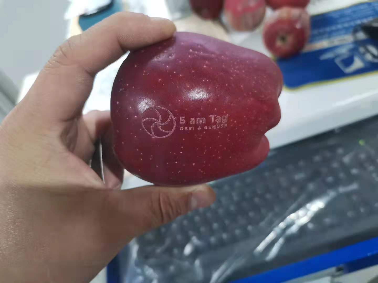 Unique and innovative fruit laser marking